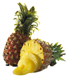 Pineapple Fruit