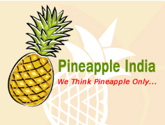 Pineapple India:Canned Pineapple,Pulp,Puree,Juice,Concentrate